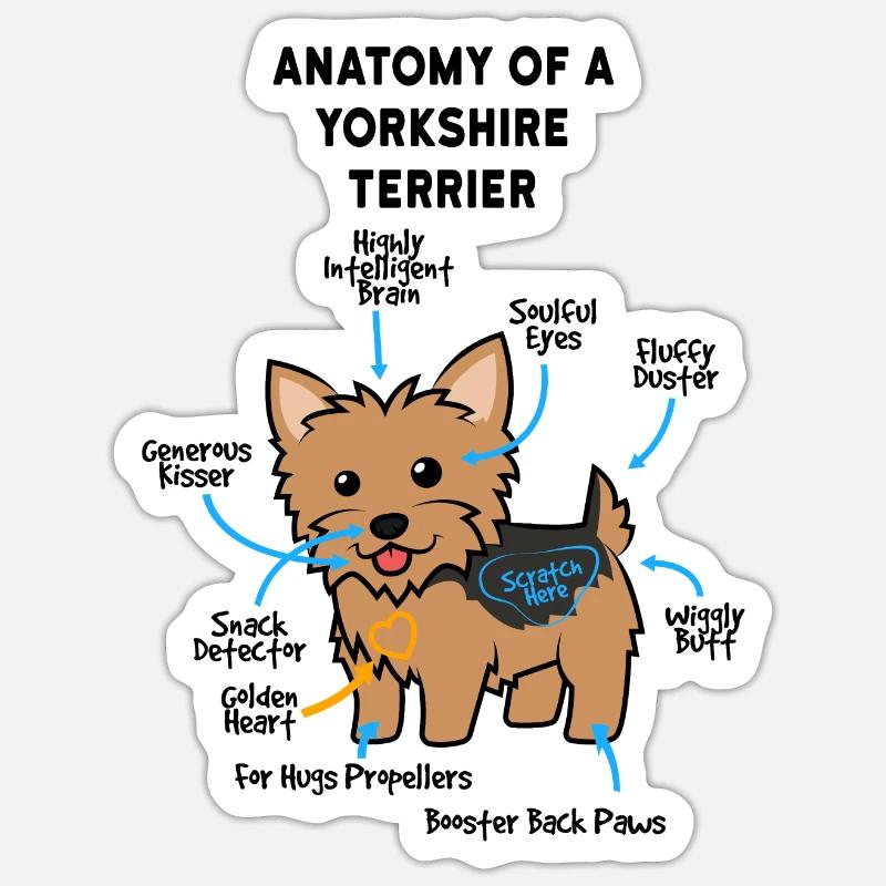 Anatomie d’un terrier du Yorkshire - Sticker taille S (10 x 10 cm) - blanc mat