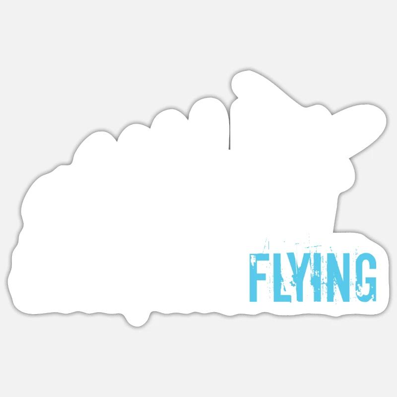 Pilot Evolution Fliegen Flugzeug Flieger Boing Sticker Größe S (10 x 10 cm)