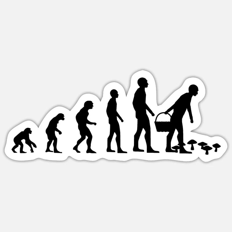 Mushrooms Collect Evolution Mushroom Mushroom Picker Gift - Sticker size S (10 x 10 cm) - white matte