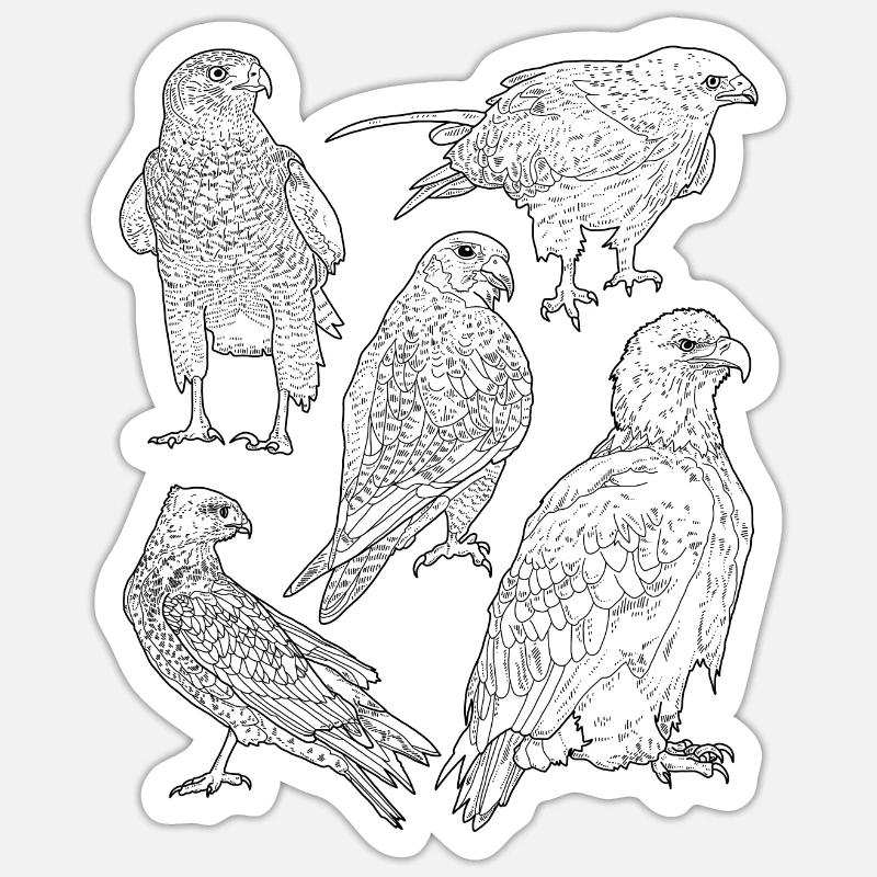 Oiseaux de proie, rapaces - Sticker taille S (10 x 10 cm) - blanc mat