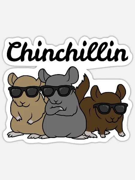 Chinchilla Tshirt Chinchillin Süßes Chinchilla - Sticker Größe S (10 x 10 cm) - Mattweiß