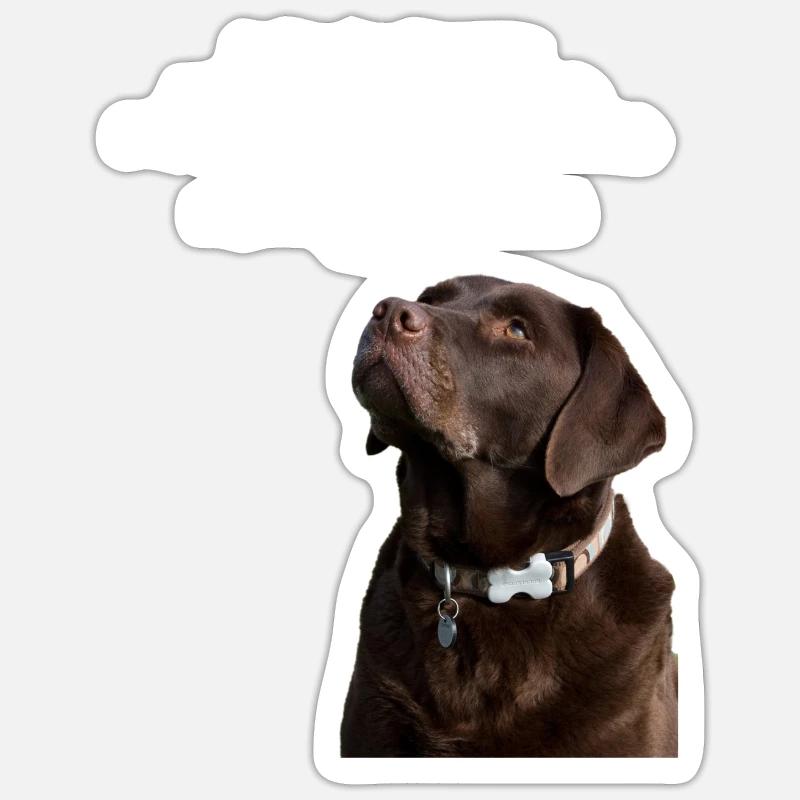 Die Gesetze eines Labradors Sticker Größe S (10 x 10 cm)
