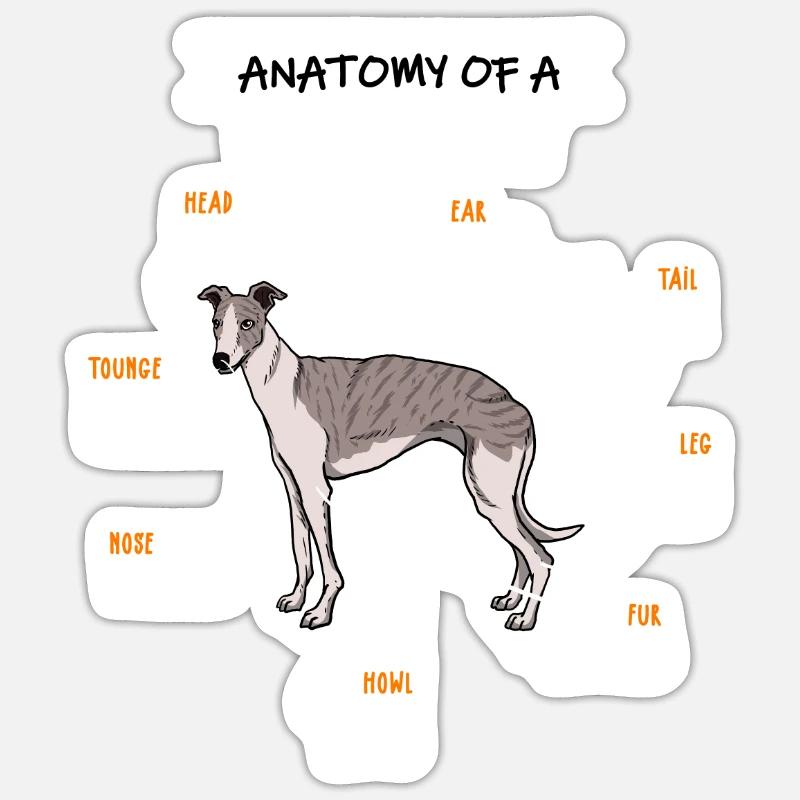 Whippet Anatomie Hunde Geschenk - Sticker Größe S (10 x 10 cm) - Mattweiß