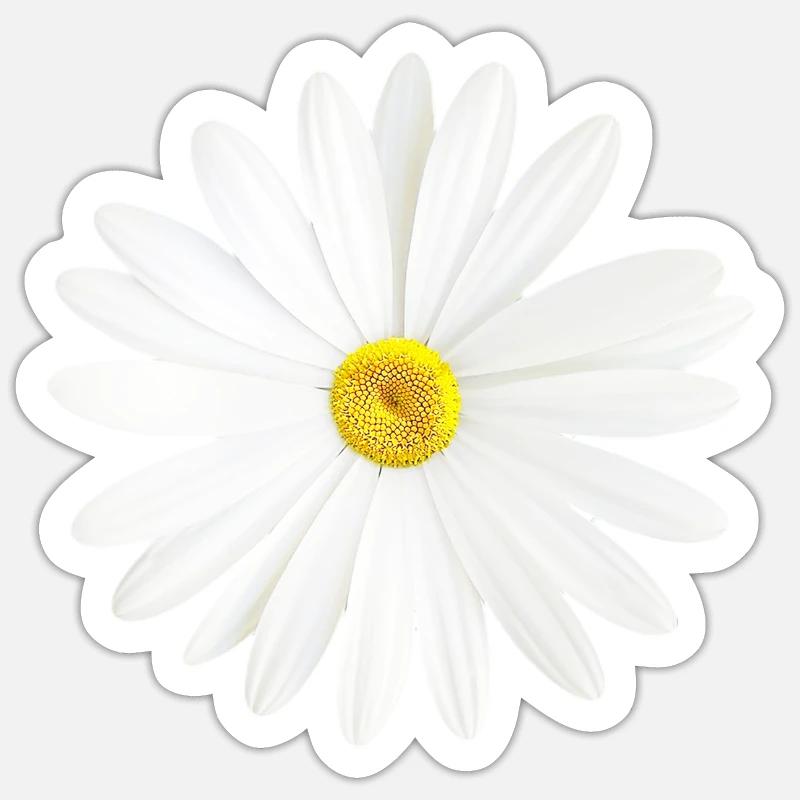 Gänseblümchen Weißes Blümchen Natur Geschenk Sticker Größe S (10 x 10 cm)