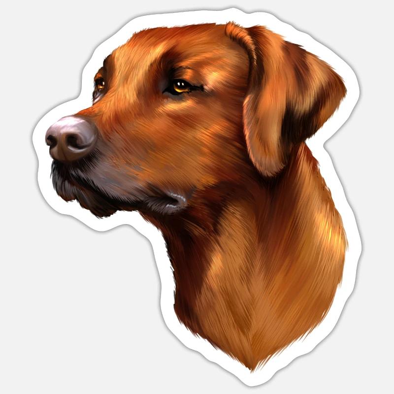 Rhodesian Ridgeback Sticker taille S (10 x 10 cm)