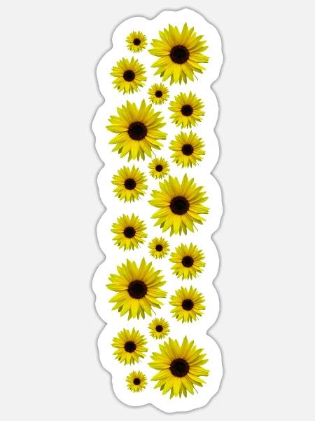 Sonnenblumen, Sonnenblume, Blumen, Blüten, floral - Sticker Größe S (10 x 10 cm) - Mattweiß