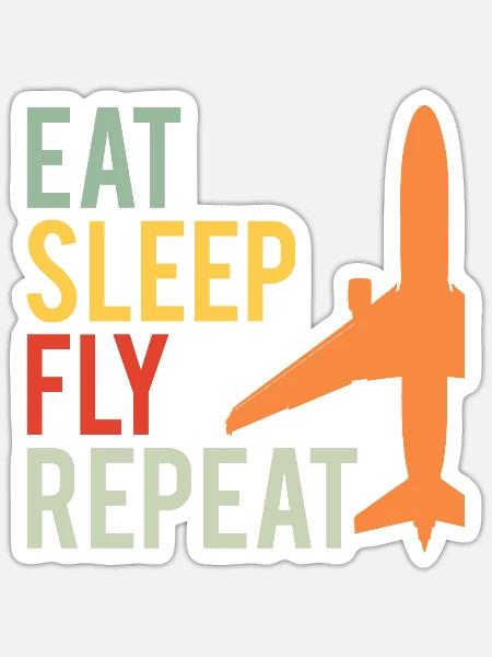 Pilot Aviation Flugzeug Fliegen Spruch Geschenk - Sticker Größe S (10 x 10 cm) - Mattweiß