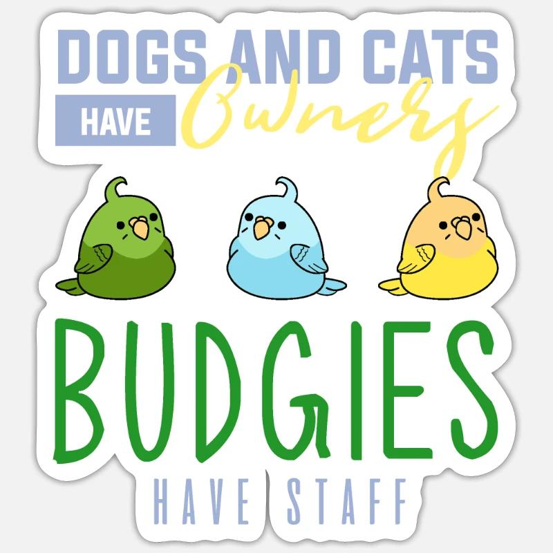 Budgerigar, budgie birds, parakeet - Sticker size S (10 x 10 cm) - white matte