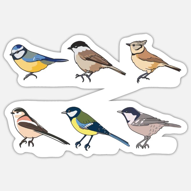 Tit Bird Collection - Birdwatching Gift - Sticker size S (10 x 10 cm) - white matte