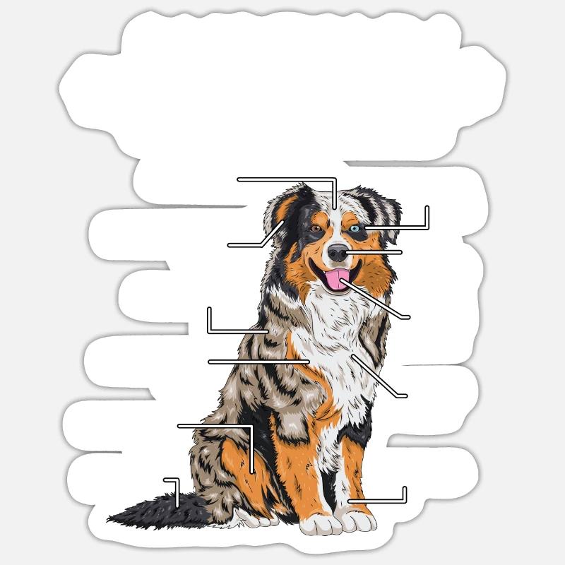 Australian Shepherd Anatomie Hundehalter Geschenk - Sticker Größe S (10 x 10 cm) - Mattweiß