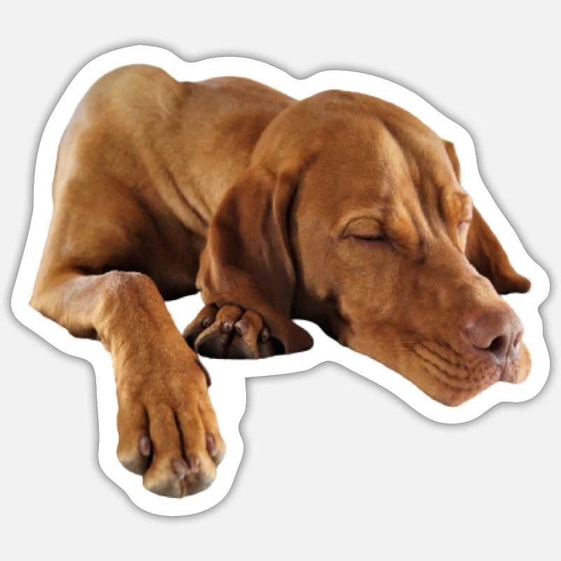 Weimaraner Sticker Größe S (10 x 10 cm)