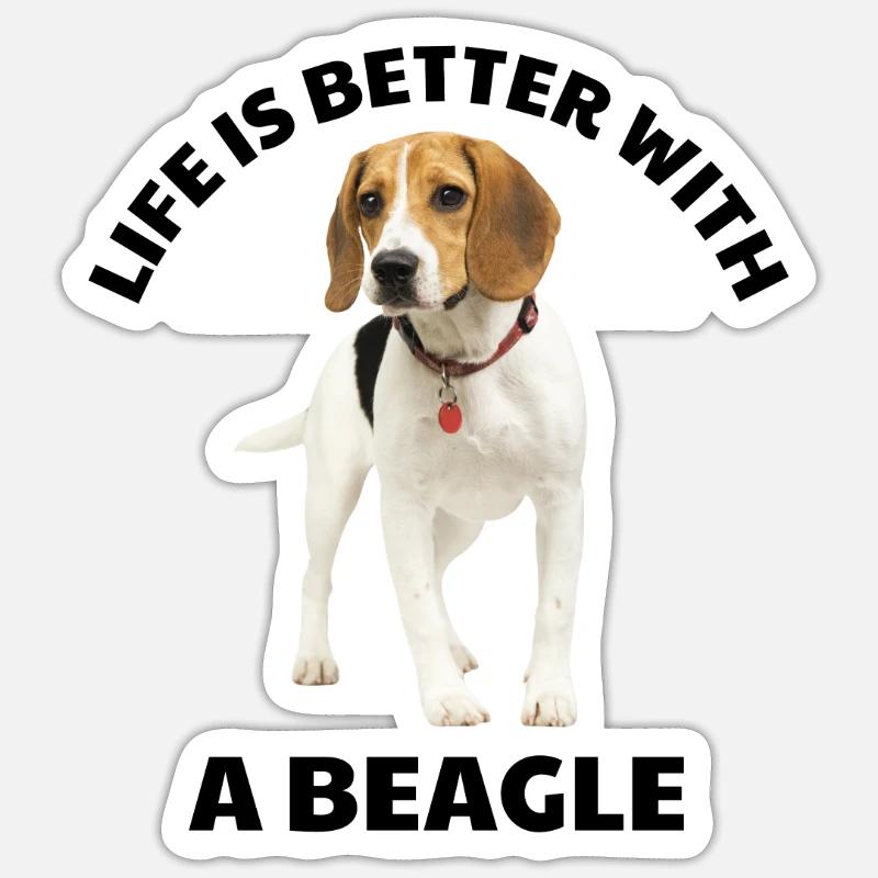Mit einem Beagle ist das Leben besser Sticker Größe S (10 x 10 cm)