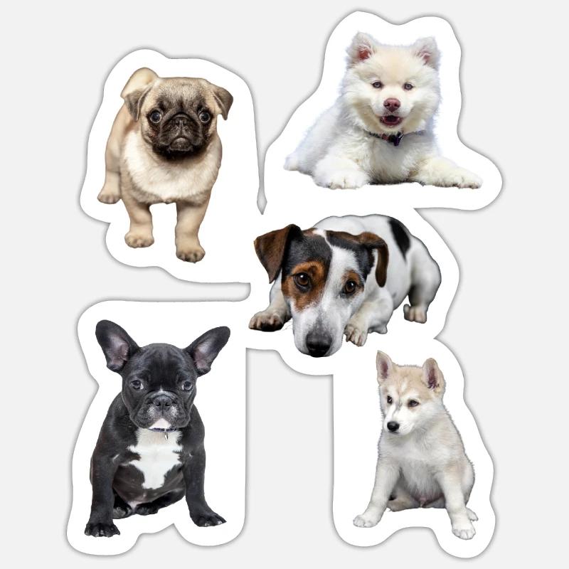 chiots mignons Sticker taille S (10 x 10 cm)