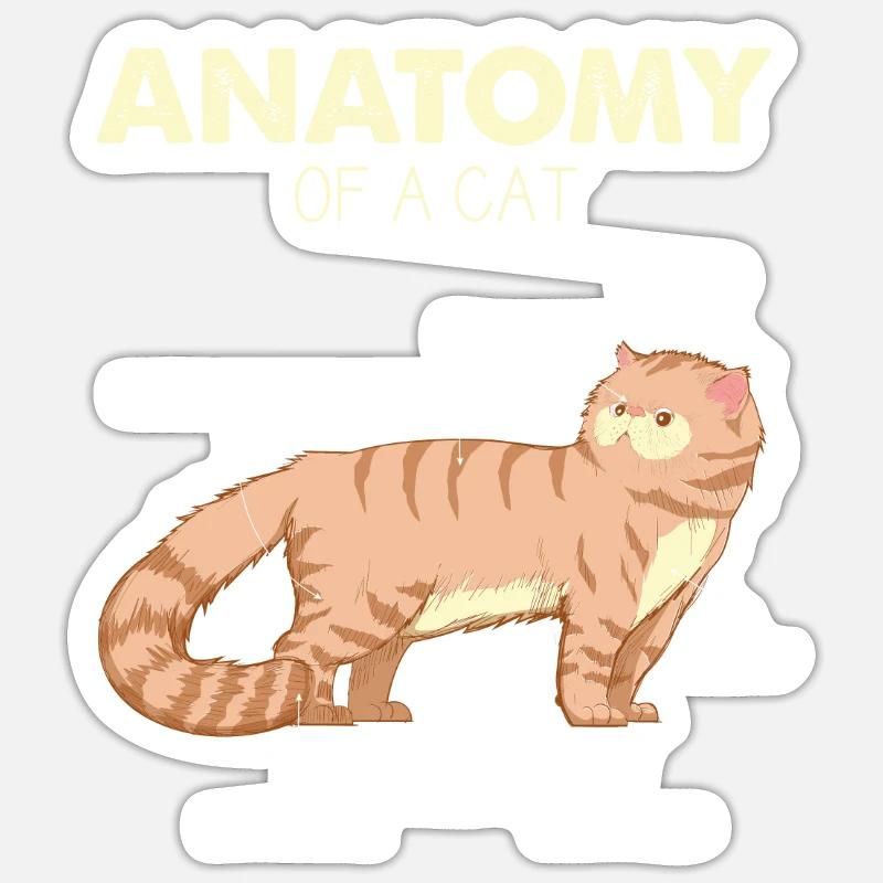 Anatomie de chat d'un chat - cadeaux de chat drôle Sticker taille S (10 x 10 cm)