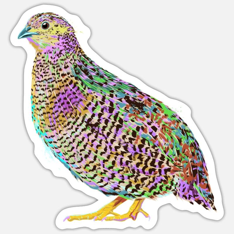 Splash caille Sticker taille S (10 x 10 cm)