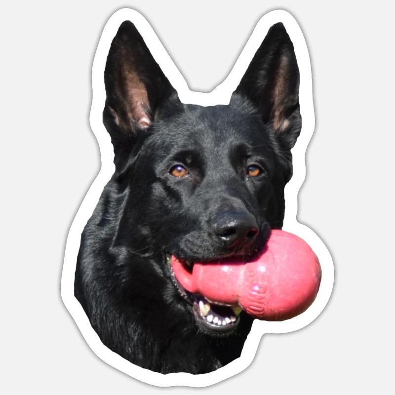 Schäferhund Deutscher Schäferhund schwarzer Hunde - Sticker Größe S (10 x 10 cm) - Mattweiß