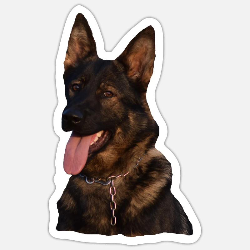Cani Testa di cane Pastore tedesco Cane da pastore tedesco Adesivo