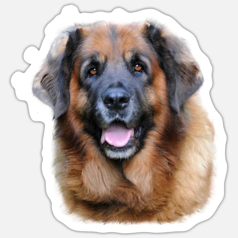 Leonberger Cadeau de conception de chiens - Sticker taille S (10 x 10 cm) - blanc mat