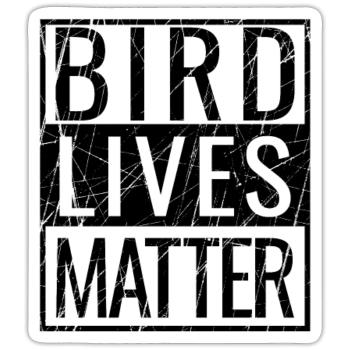 Bird Lives Matter Bird Watching Birding Bird Nerd - Sticker Größe S (10 x 10 cm) - Mattweiß - Vorne