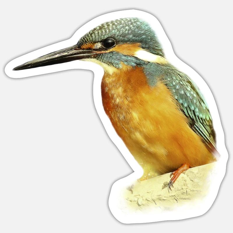Cadeau d'illustration de conception de Kingfisher - Sticker taille S (10 x 10 cm) - blanc mat