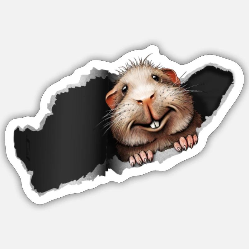 Surprise de cochon d'Inde - Sticker taille S (10 x 10 cm) - blanc mat