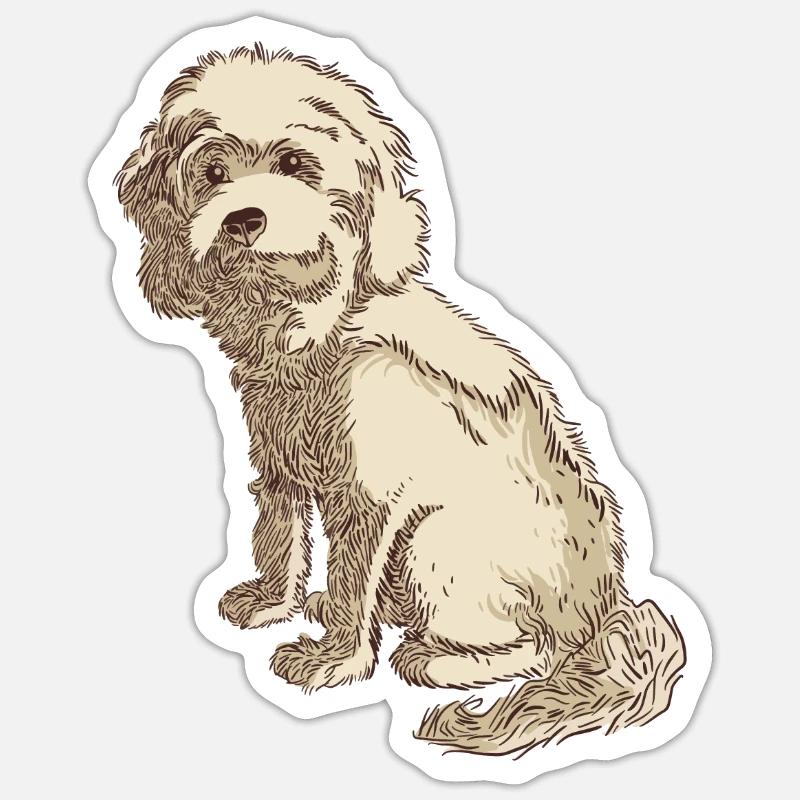 Cockapoo dog drawing of a cockapoo - Sticker size S (10 x 10 cm) - white matte