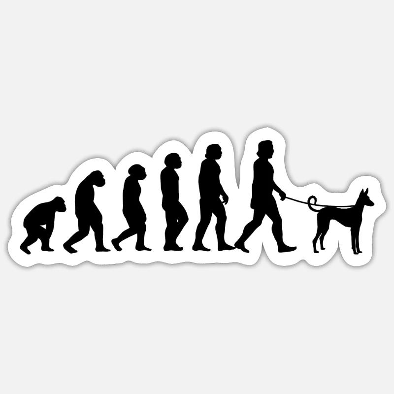 Podenco Evolution Spanish Hound Gift - Sticker size S (10 x 10 cm) - white matte