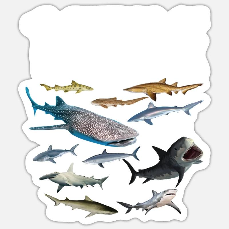 11 types de requin Sauver les requins-chéris Sticker taille S (10 x 10 cm)