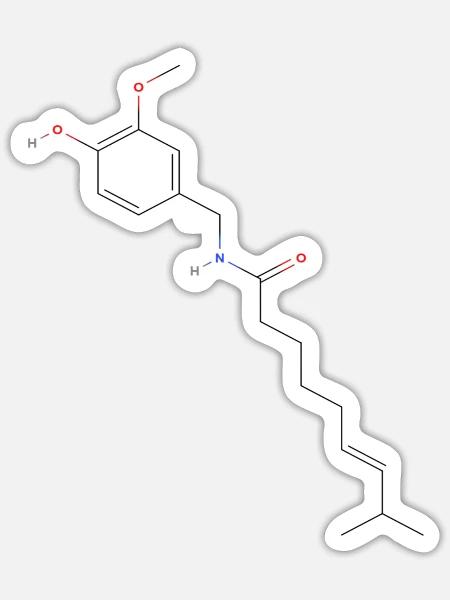 Capsaicin Molekül - Farbige Strukturformel - Sticker Größe S (10 x 10 cm) - Mattweiß