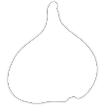 Feige Pflanze Obst Geschenk Geschenke - Sticker Größe S (10 x 10 cm) - Mattweiß - Vorne