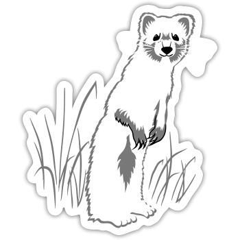 Weasel on meadow - Sticker size S (10 x 10 cm) - white matte - Front