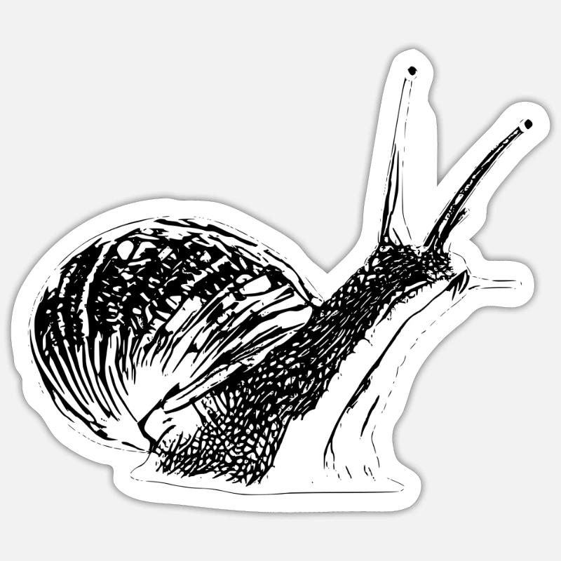 snail - Sticker size S (10 x 10 cm) - white matte