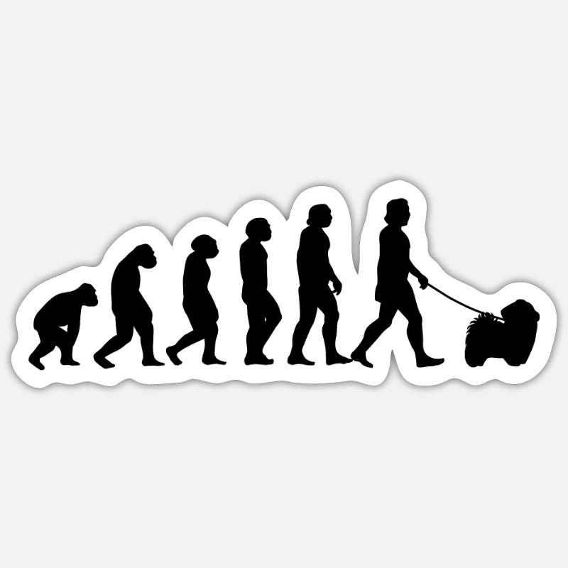 Havaneser Evolution Haushund Geschenk - Sticker Größe S (10 x 10 cm) - Mattweiß