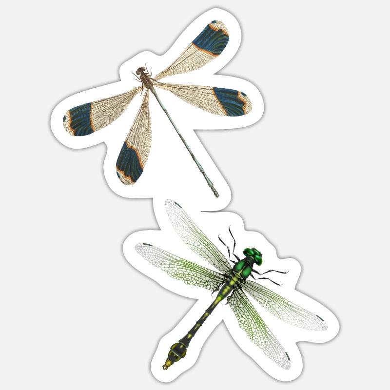 Libelle Insecte Yoga Meditation D’Été Pattern - Sticker taille S (10 x 10 cm) - blanc mat