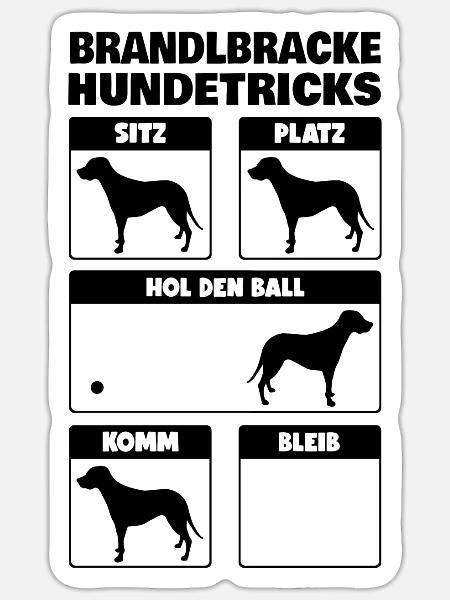 Brandlbracke Hundetricks Bracke Hund Jagdhund - Sticker Größe S (10 x 10 cm) - Mattweiß