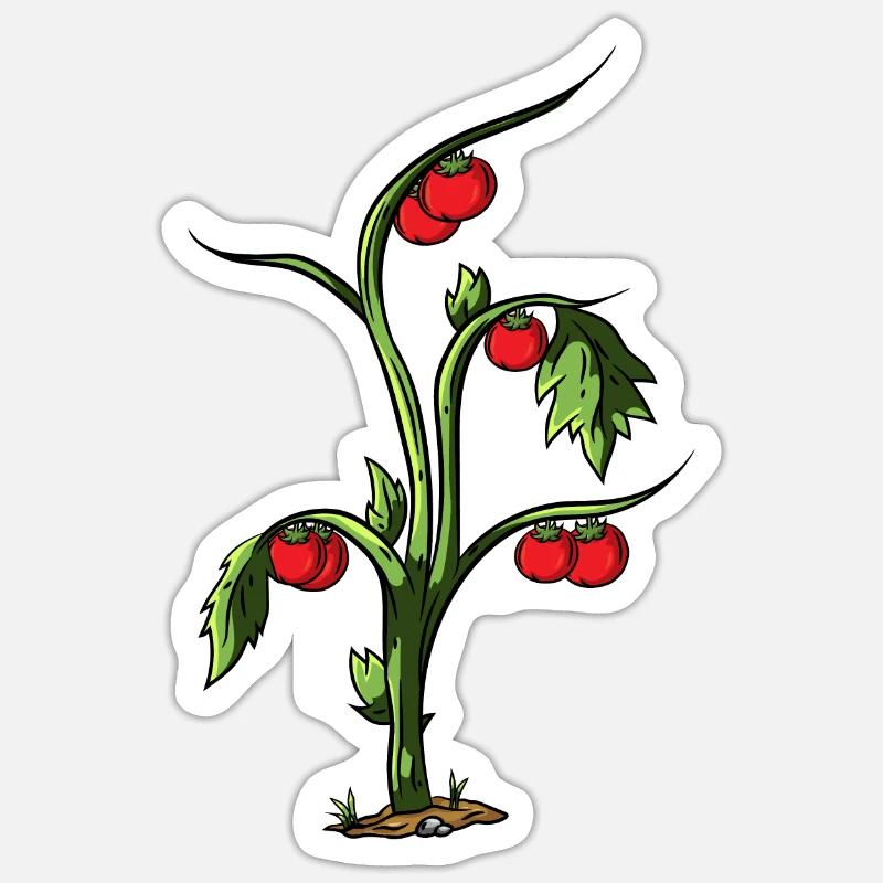 Tomato - Sticker size S (10 x 10 cm) - white matte