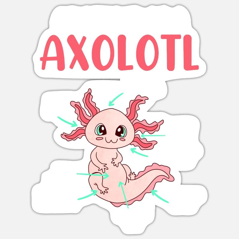 Axolotl Anatomie eines Axolotl - Sticker Größe S (10 x 10 cm) - Mattweiß