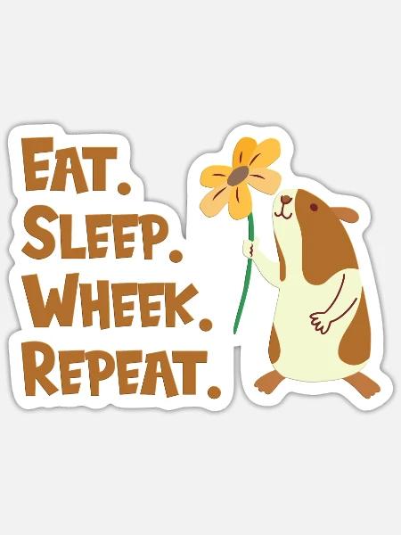Eat, Sleep, Wheek, Repeat - Meerschweinchen - Sticker Größe S (10 x 10 cm) - Mattweiß