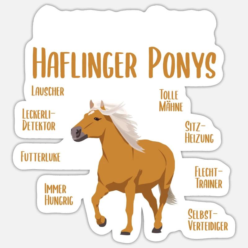 Anatomie eines Haflinger Ponys - Haflinger Pferd - Sticker Größe S (10 x 10 cm) - Mattweiß