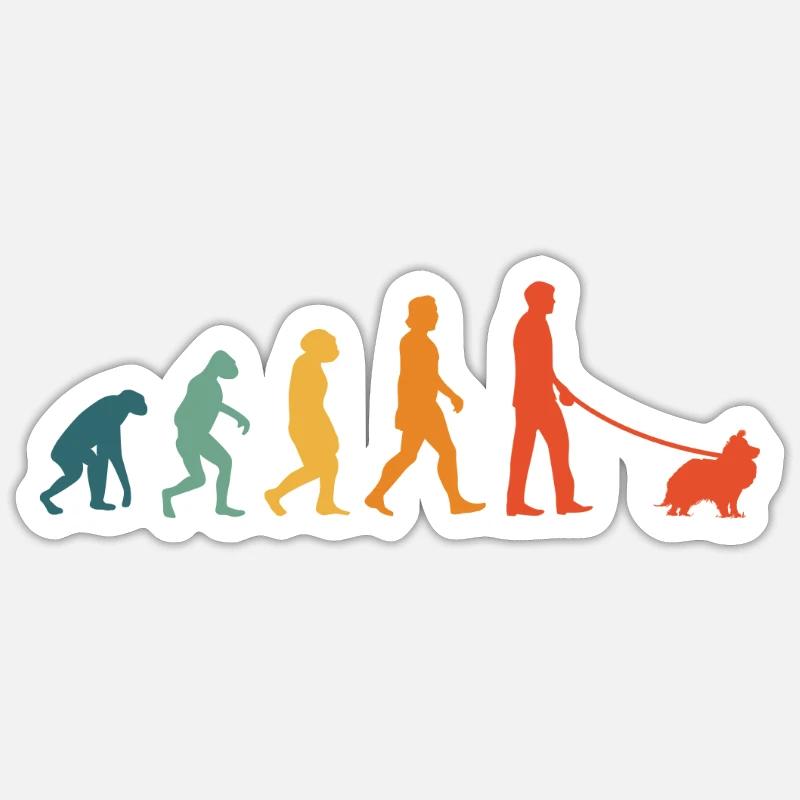Shetland Sheepdog Evolution Rétro Sheltie - Sticker taille S (10 x 10 cm) - blanc mat