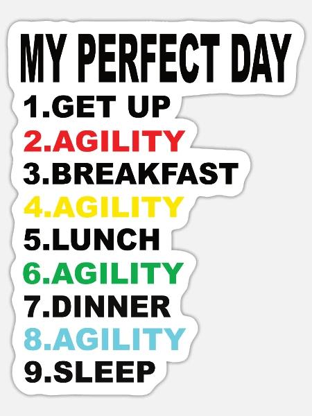 Mein Perfekter Tag Agility - Sticker Größe S (10 x 10 cm) - Mattweiß
