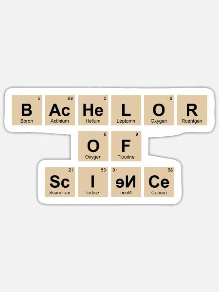 Bachelorabschluss Bachelor of Science Bachelor - Sticker Größe S (10 x 10 cm) - Mattweiß