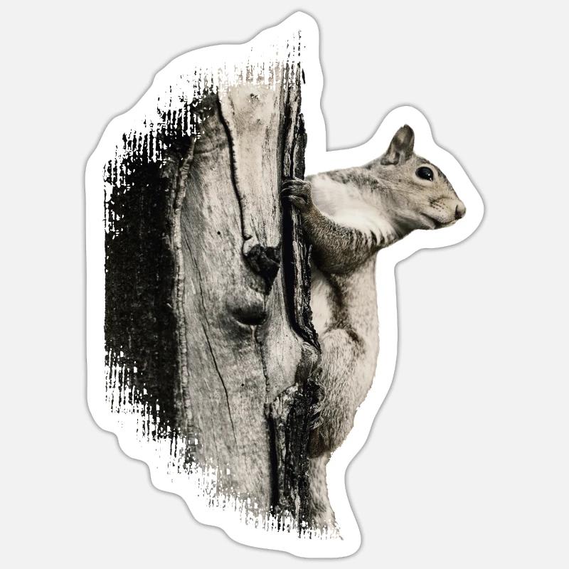 Squirrel - Sticker size S (10 x 10 cm) - white matte