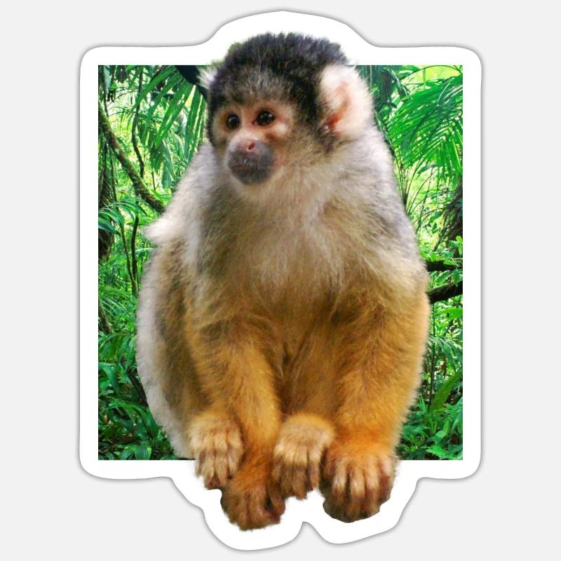 Crâne singe écureuil singe - Sticker taille S (10 x 10 cm) - blanc mat