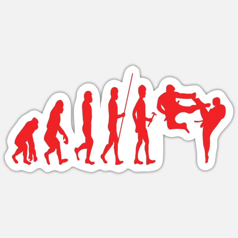 Karate Evolution - Sticker size S (10 x 10 cm) - white matte
