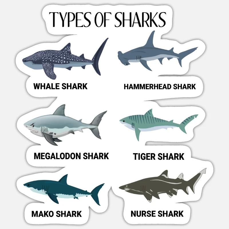Requin Shark Fin Requin Blanc Requin Baleine Requin Requin - Sticker taille S (10 x 10 cm) - blanc mat