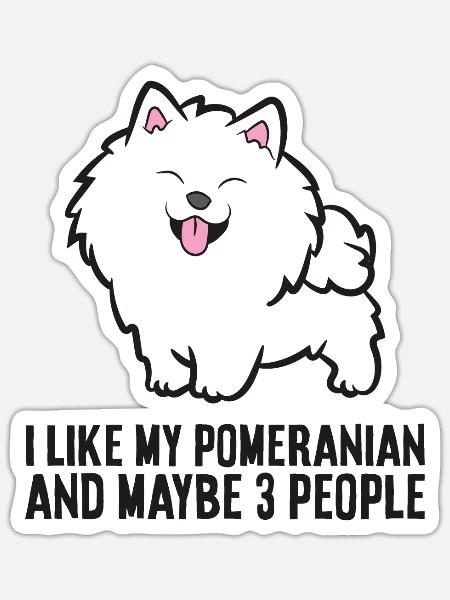 Ich mag meine Pomeranian und vielleicht wie 3 - Sticker Größe S (10 x 10 cm) - Mattweiß