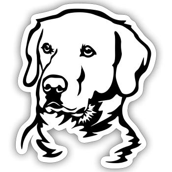 Tête de Labrador - Sticker taille S (10 x 10 cm) - blanc mat - Devant