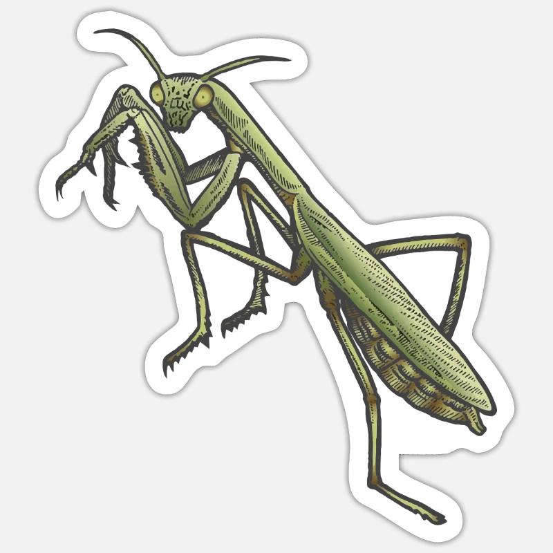 Mantis - Sticker size S (10 x 10 cm) - white matte