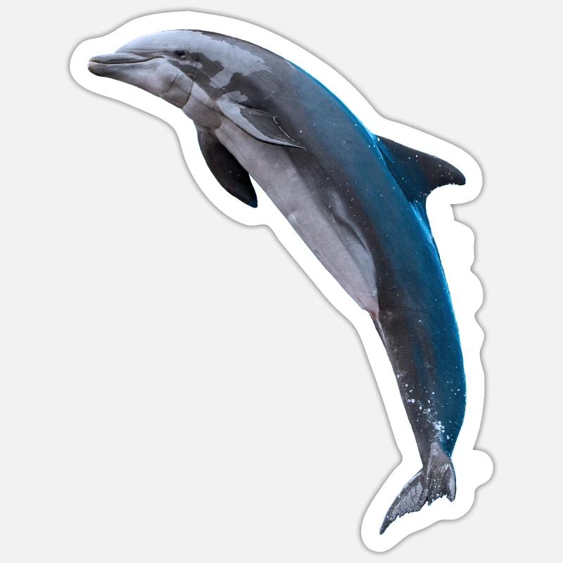 Dolphin jumping, Natural, left - Sticker size S (10 x 10 cm) - white matte